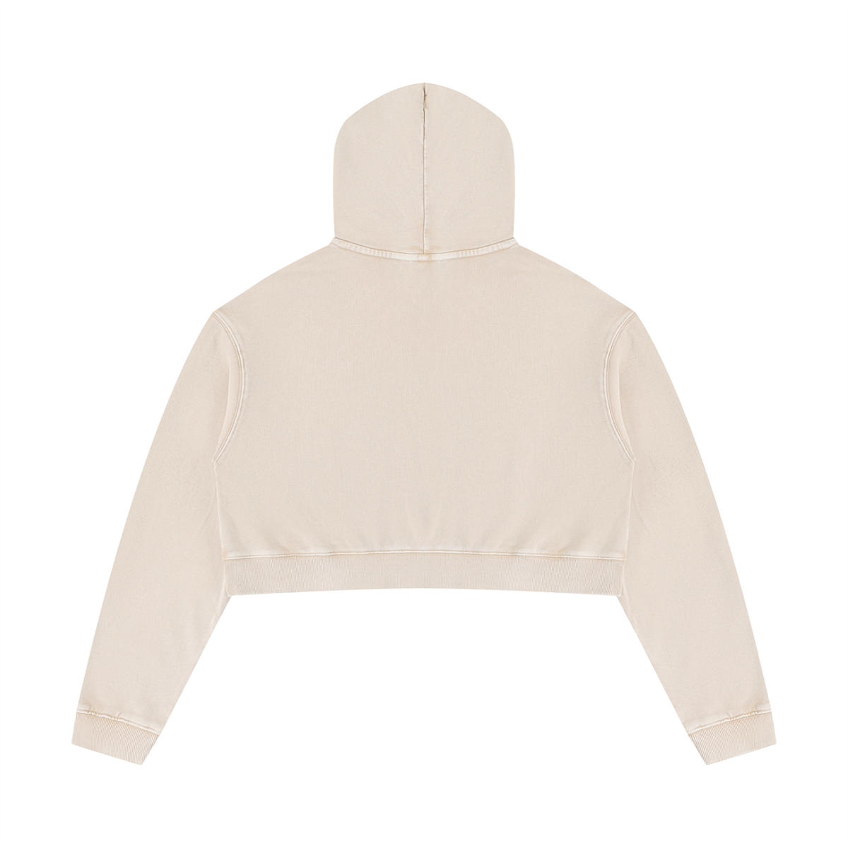 Women’s Mineral Washed Crop Hoodie "Plan Jane? No logo